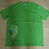 BGD-04